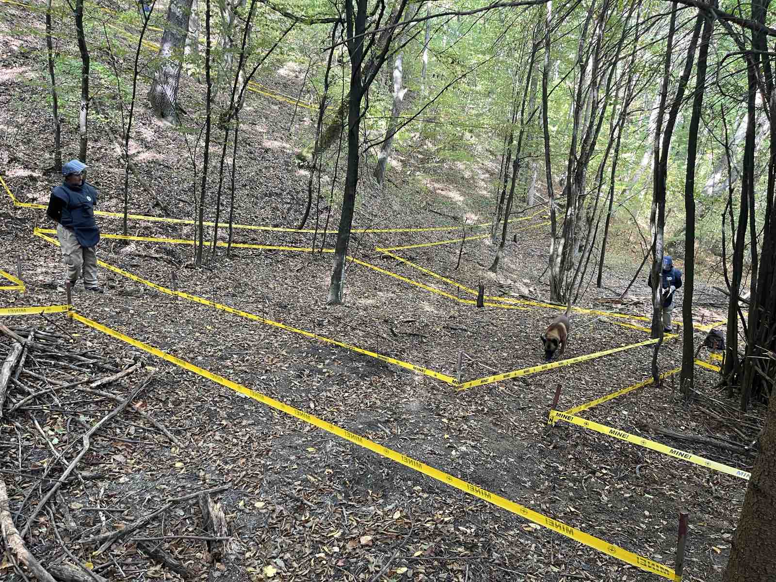 Za deminiranje BiH treba više pod pola milijarde KM