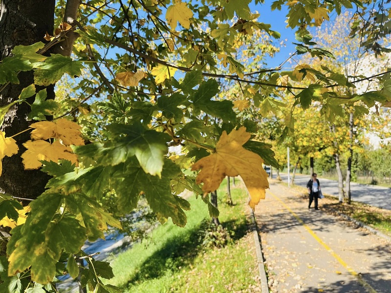 BHMETEO: Hladnije vrijeme će se još zadržati, evo kada slijedi promjena
