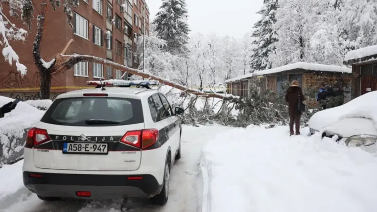 Preminula žena na koju je jutros palo stablo u Sarajevu