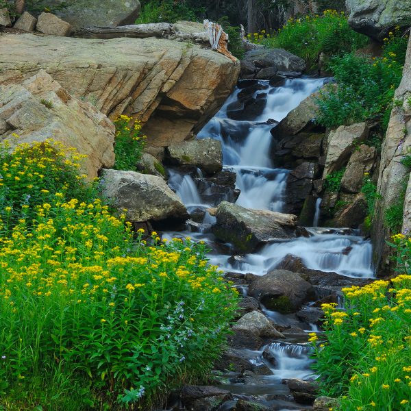 Danas “udara” drugo džemre – voda više ne mrzne