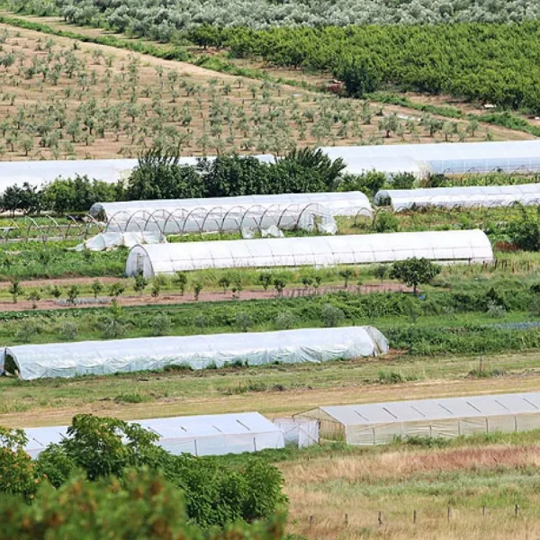 Niže cijene, a manje njiva pod sjetvom, poljoprivrednici otkrivaju zašto odustaju