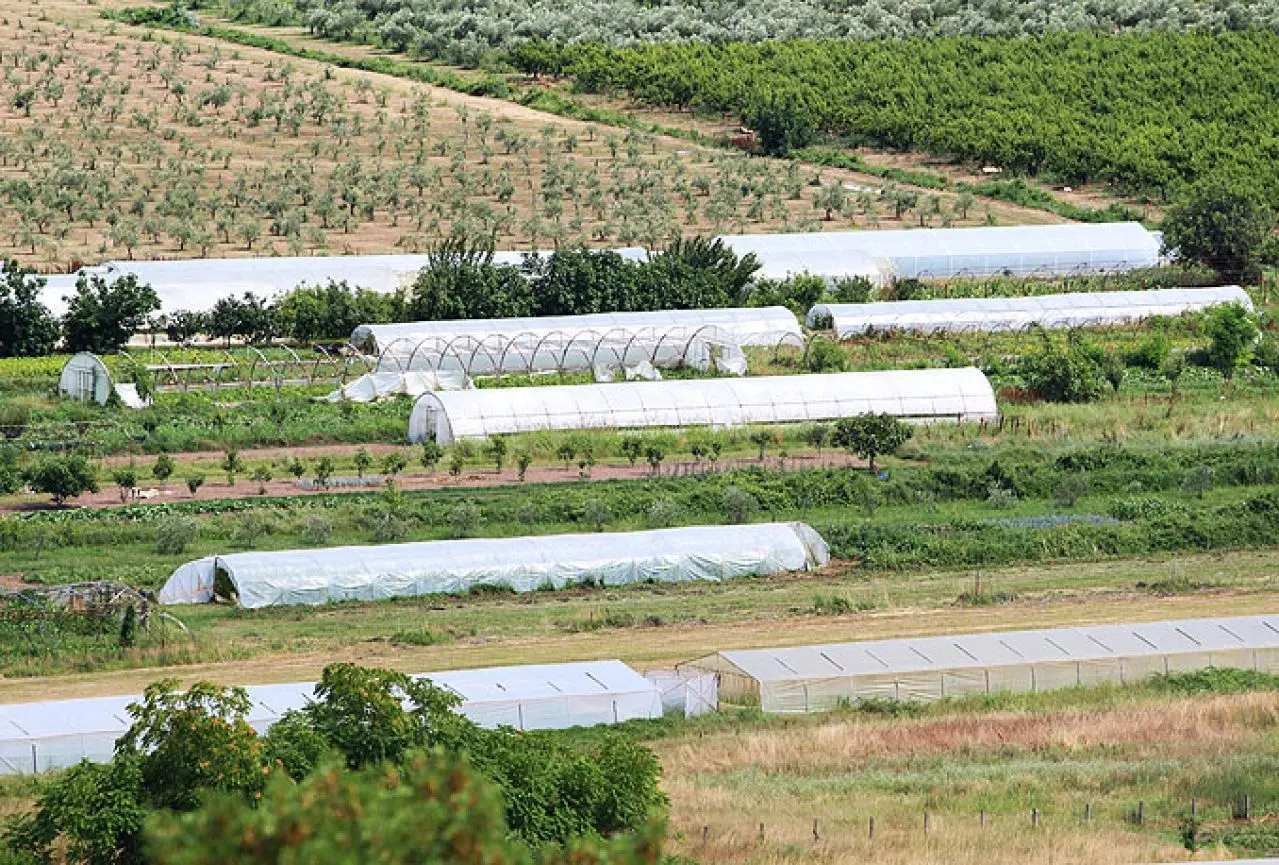 Niže cijene, a manje njiva pod sjetvom, poljoprivrednici otkrivaju zašto odustaju