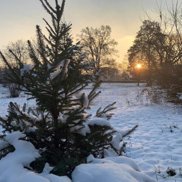 Stiže novi val padavina: U dijelovima BiH se očekuje i 20 cm snijega