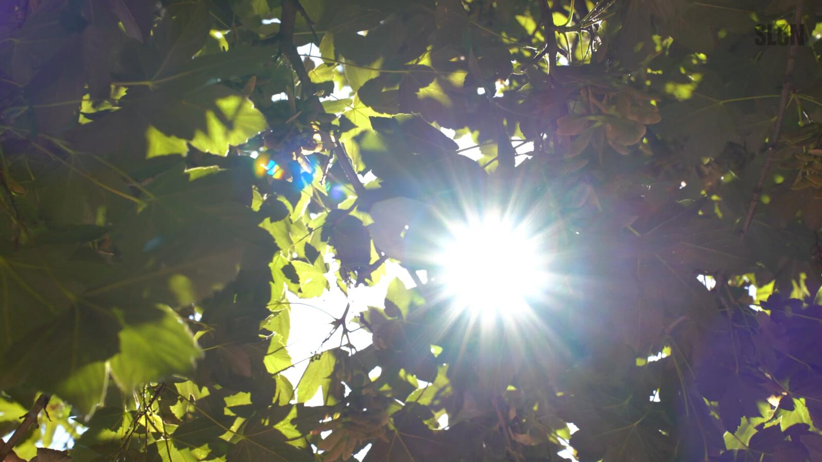 Vremenska prognoza: Danas sunčano, povoljna i bioprognoza