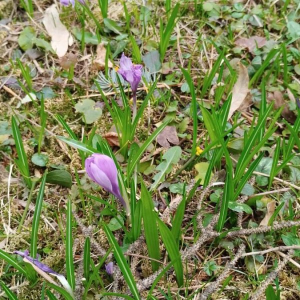 Puca i treće džemre: Toplo i ove sedmice, možete u polja
