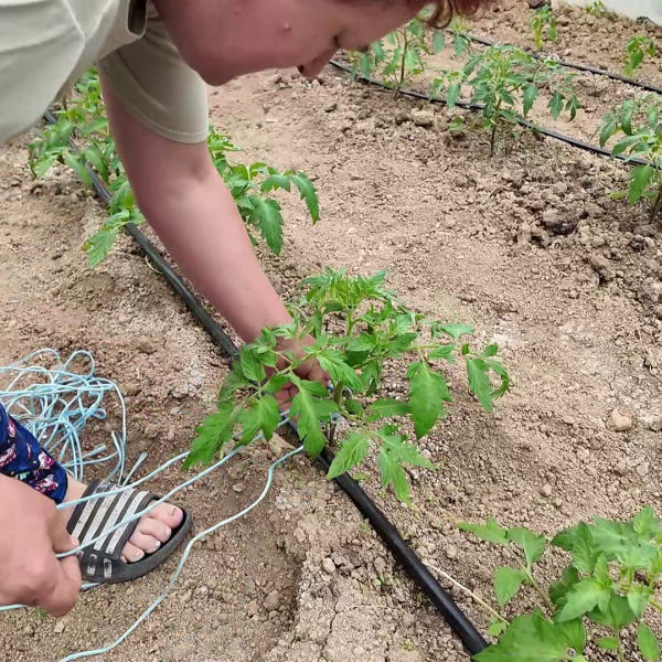 Sve je manje površina za sjetvu u tuzlanskom kraju, u novoj sezoni će biti manje krompira i povrtnog bilja