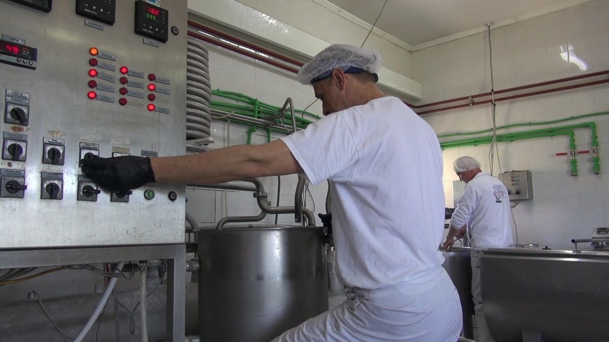 Alarmantno stanje u sektoru mljekarstva, opstanak farmi upitan