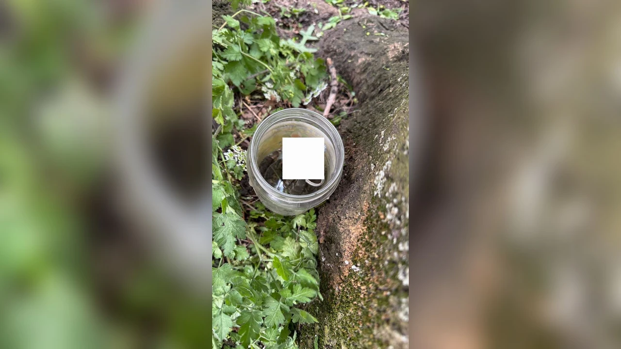 Radnici ‘KJKP Park’ u Sarajevu tokom košenja trave pronašli ručnu bombu, spriječena moguća tragedija