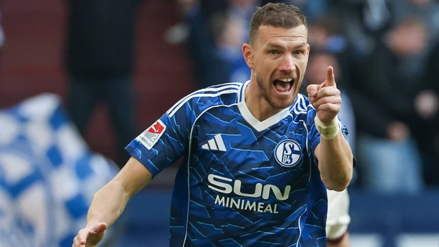 Edin Džeko: Da nije bilo Schalkea,možda ne bih ni otišao na Mundijal