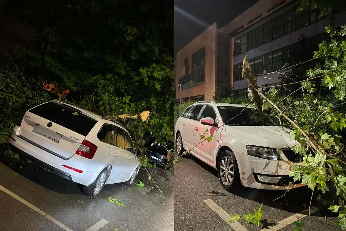 Drvo palo na automobil u Tuzli: Može li vlasnik dobiti odštetu?