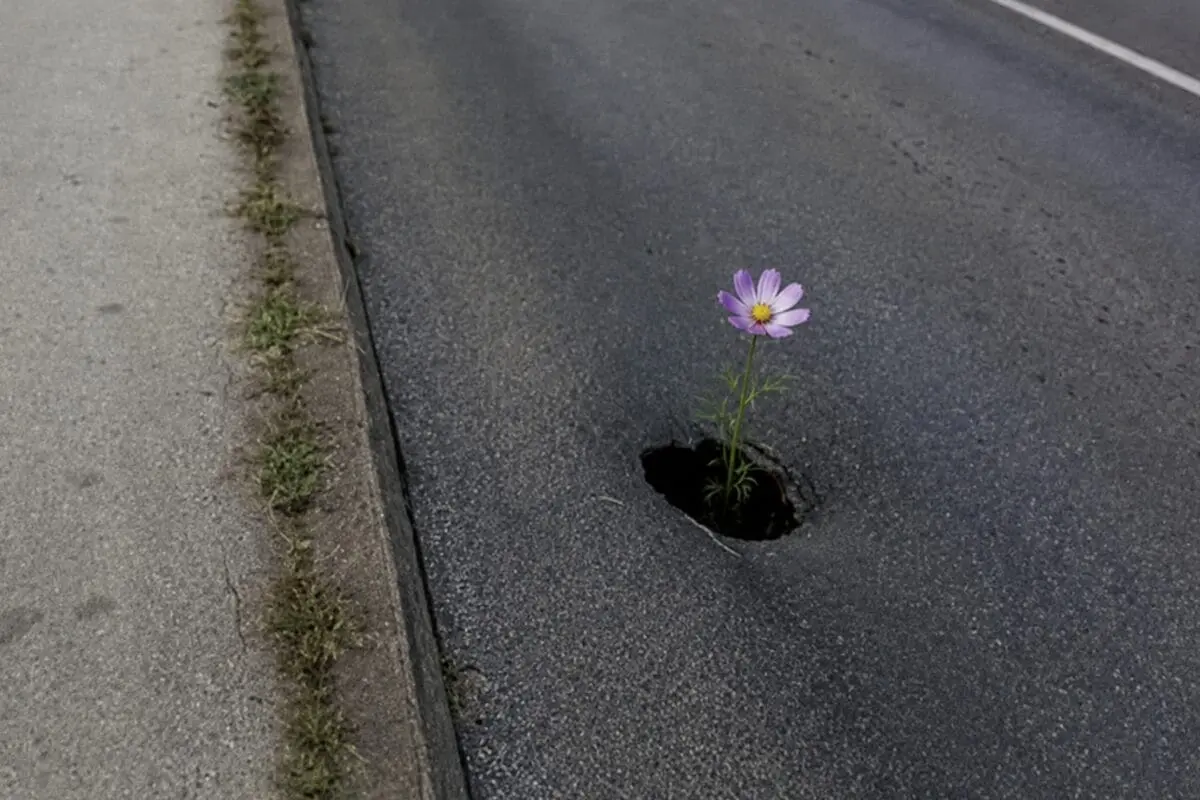Vlada TK osigurala skoro 5 miliona KM za lokalne ceste