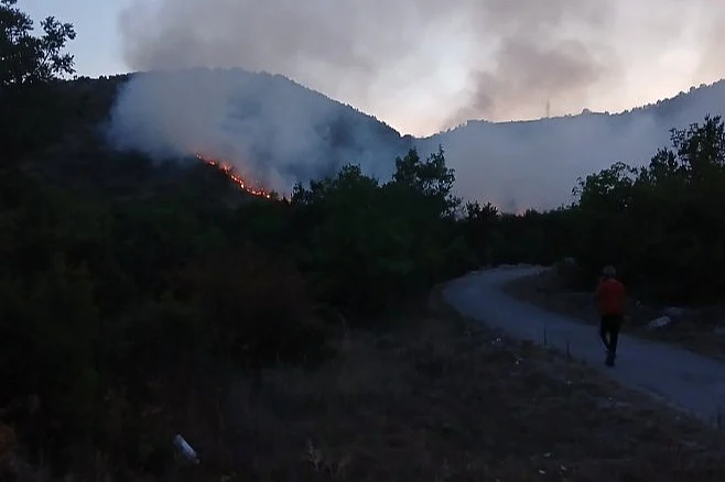 Veliki požar kod Trebinja: Vatra prijeti kućama, gašenje otežavaju detonacije mina
