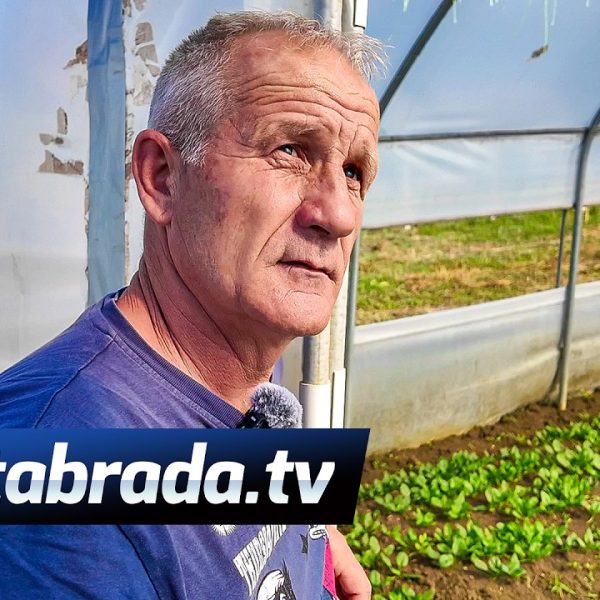 Plastenici mu “rade” 24h tokom CIJELE GODINE!
